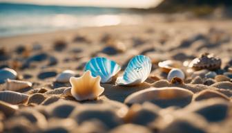 Wo darf man Muscheln sammeln, um die Umwelt zu schützen?